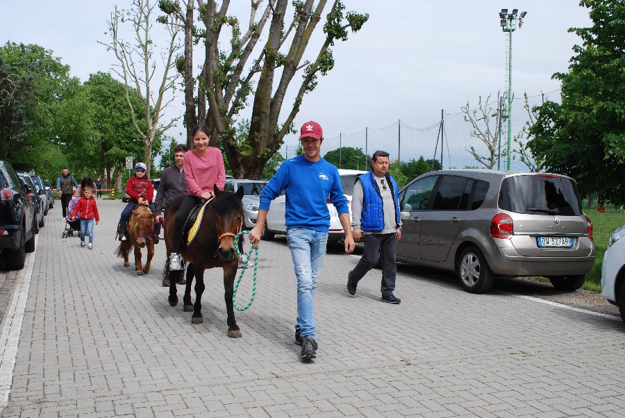 Gestione orti urbani